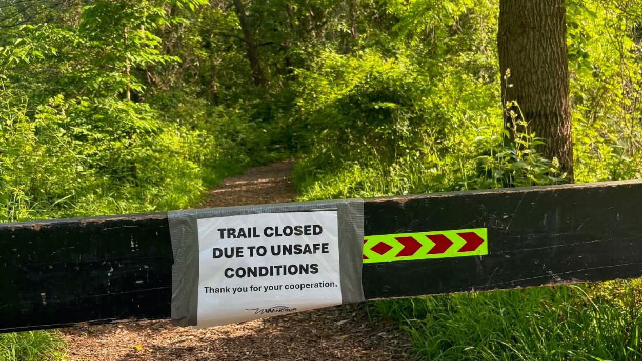 Aggressive wild turkey forces city to close some trails at Ojibway Park