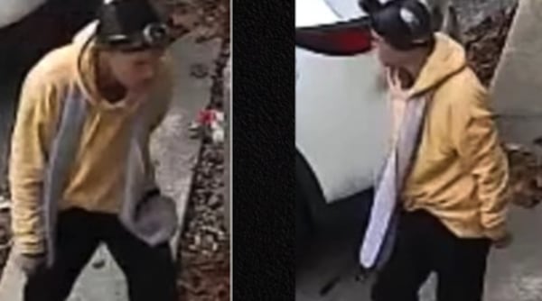 Windsor police seek several suspects in separate property damage investigations