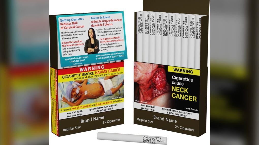 cost of a cigarette in india 🚨 From ₹180 to ₹600+ — that's not inflation… that's tax power. Governments  decide the price you pay. Same cigarette. Completely different cost. . .  Follow @thestockmarketlive for new updates and knowledge. . (