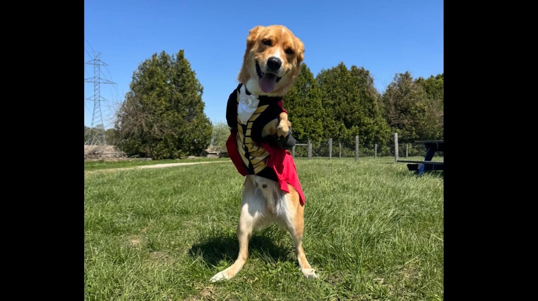 Winnie’s turning five